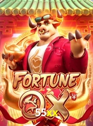 55XX.COM
